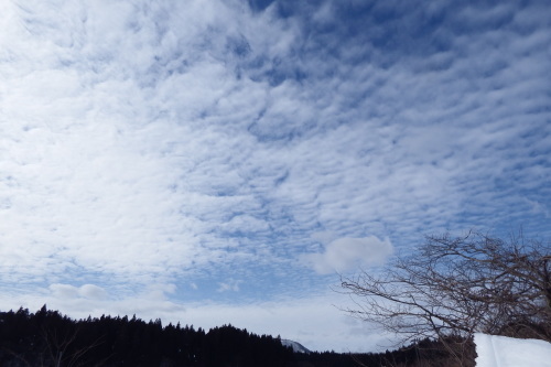 f0118332_23531717.jpg
