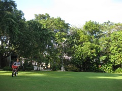 b0116933_23311156.jpg