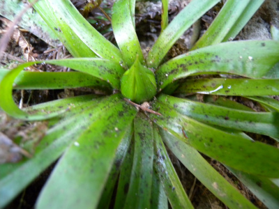 e0272335_209131.jpg