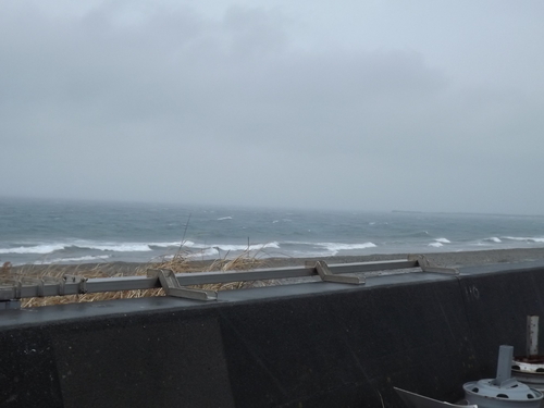 f0248337_1222423.jpg