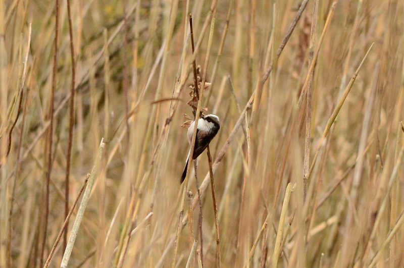 b0288942_22463361.jpg