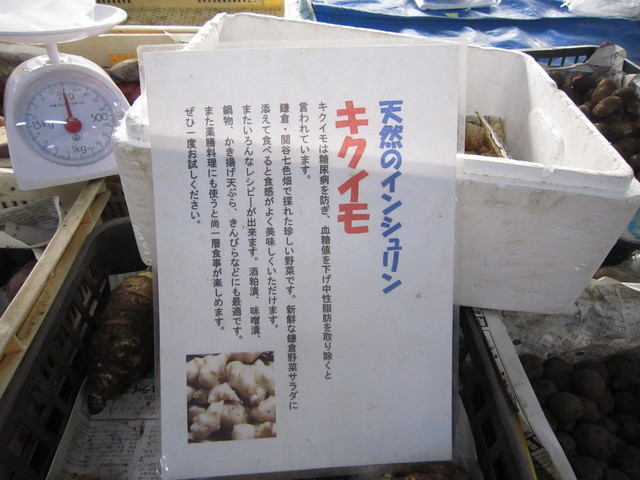 a0202860_2054411.jpg