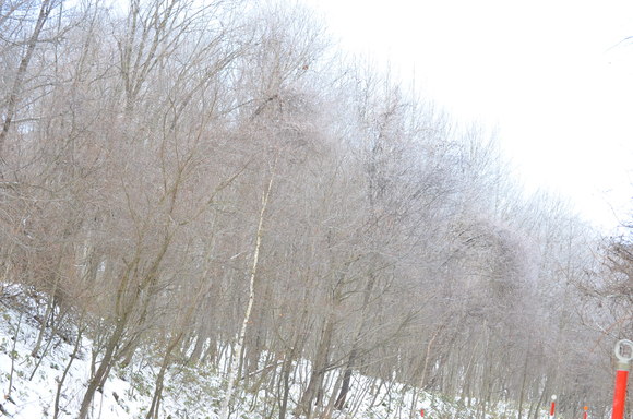 e0120466_17572586.jpg