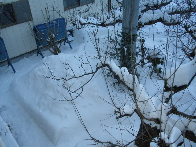 d0150967_2024719.jpg