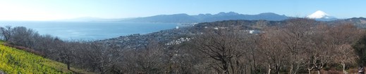 e0145782_1541286.jpg
