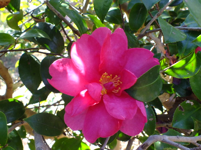 e0145782_15491240.jpg