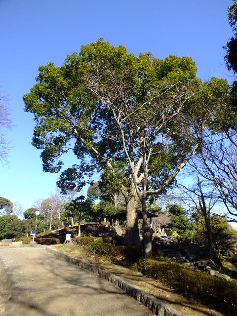 e0145782_163287.jpg