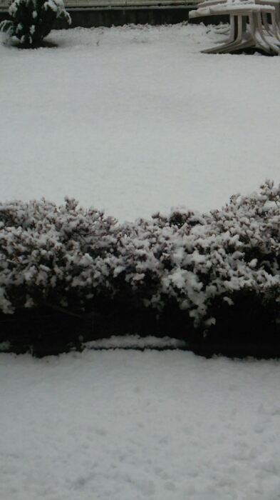 c0348784_17334680.jpg