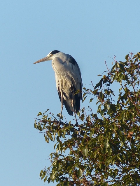 f0357487_2349118.jpg
