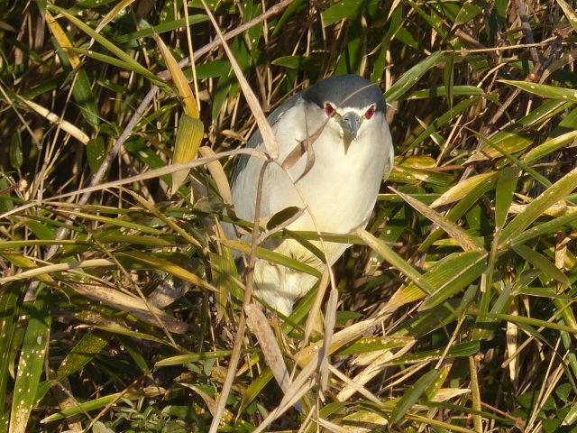 f0357487_23494814.jpg