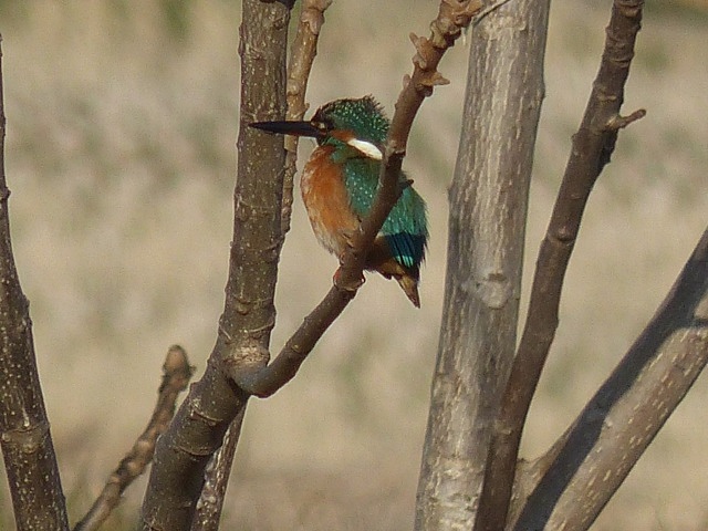 f0357487_2350847.jpg