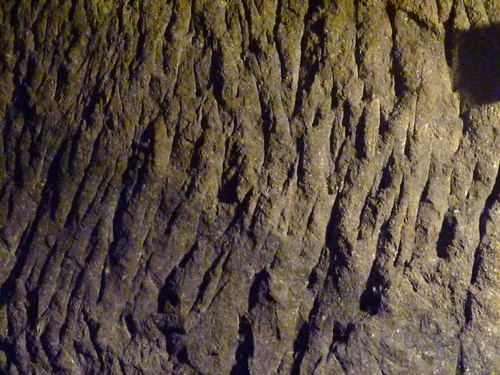 c0123890_20164217.jpg