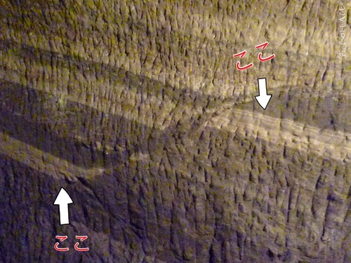 c0123890_20172572.jpg