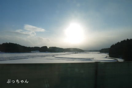 f0353990_18241322.jpg