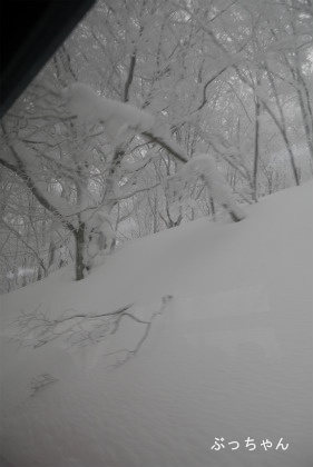 f0353990_18263488.jpg