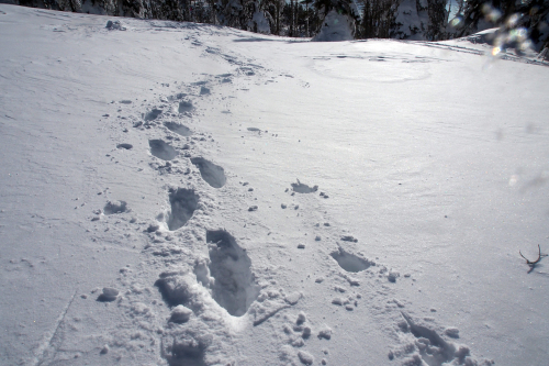 a0335310_20494777.jpg