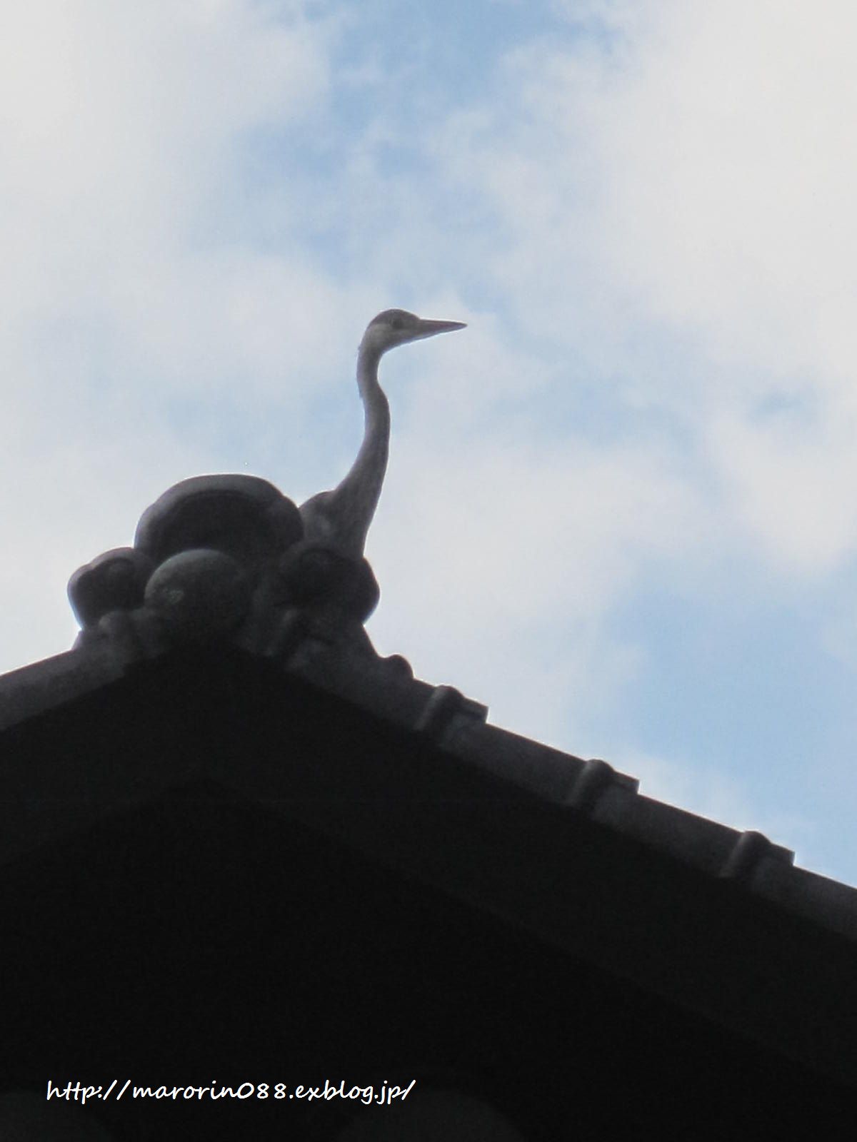 b0203919_21132940.jpg