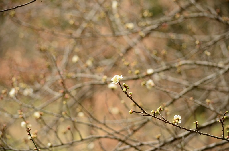 b0288942_1751313.jpg