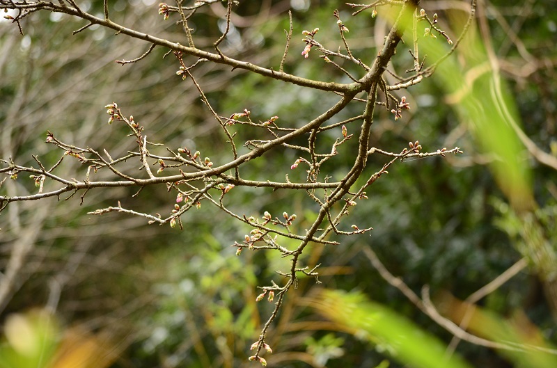 b0288942_1794672.jpg
