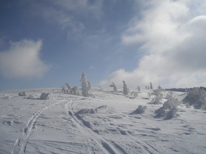 f0232845_0334915.jpg