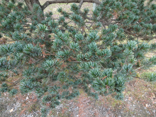 f0198556_13463313.jpg