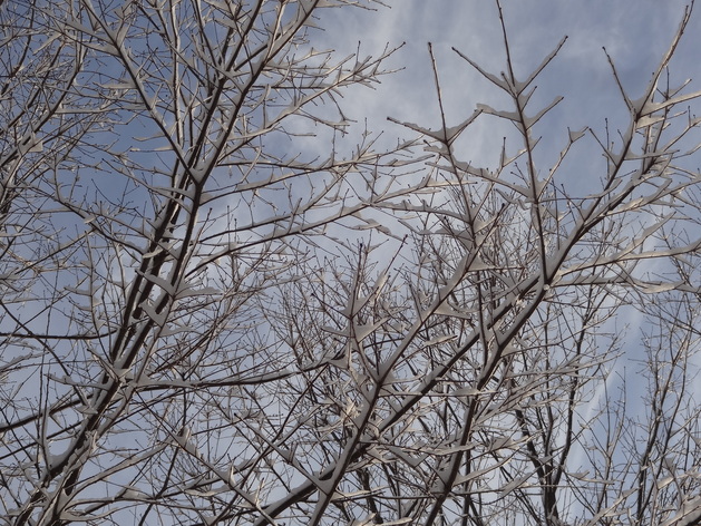 f0198556_1629186.jpg