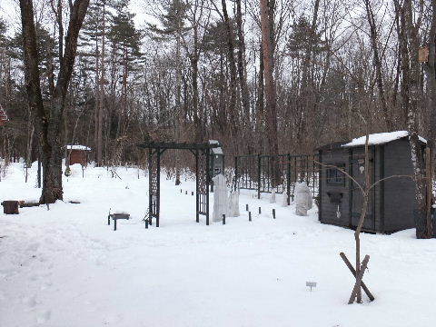 e0088260_16411551.jpg
