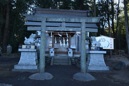 f0342371_2016337.jpg