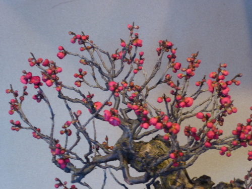 b0321595_23265570.jpg