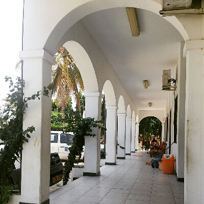 a0243396_436025.jpg
