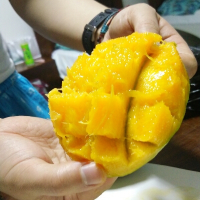 a0243396_4465139.jpg