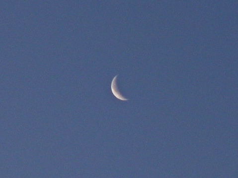 a0199297_852578.jpg