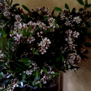 a0201204_22494653.jpg
