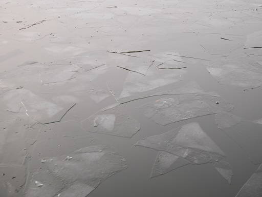 a0140305_3301185.jpg