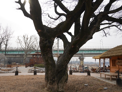 a0140305_3364339.jpg