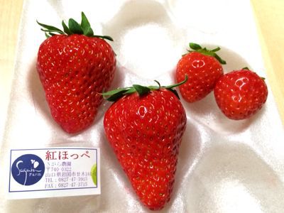 e0177509_0131672.jpg
