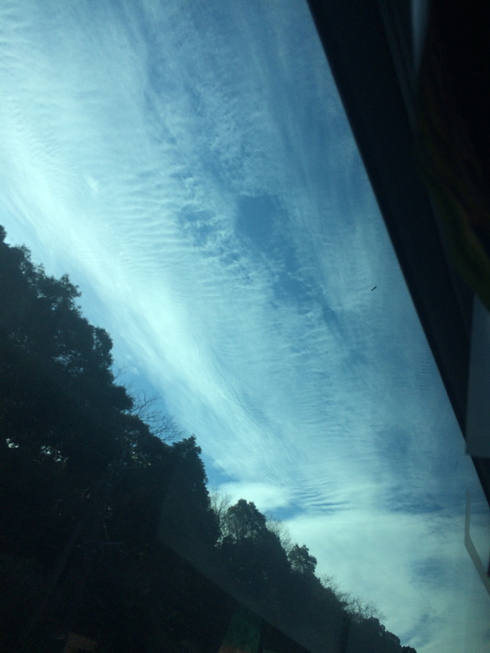 e0049318_10414731.jpg