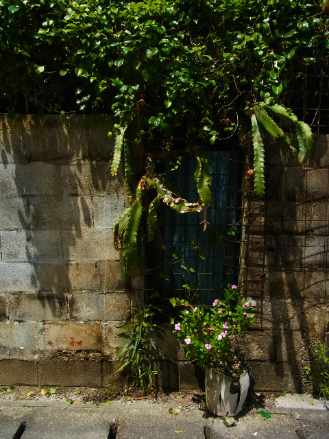 a0087341_2330555.jpg