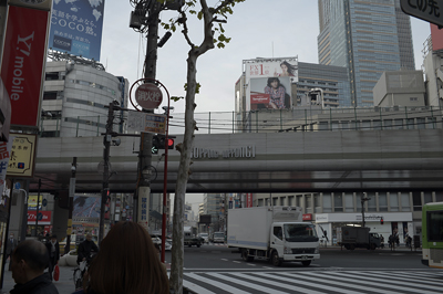 d0093043_1126437.jpg