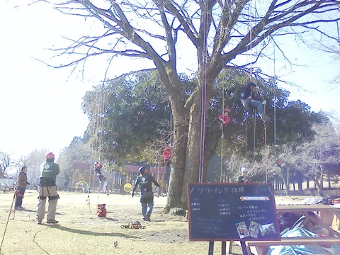 a0196286_22425100.jpg