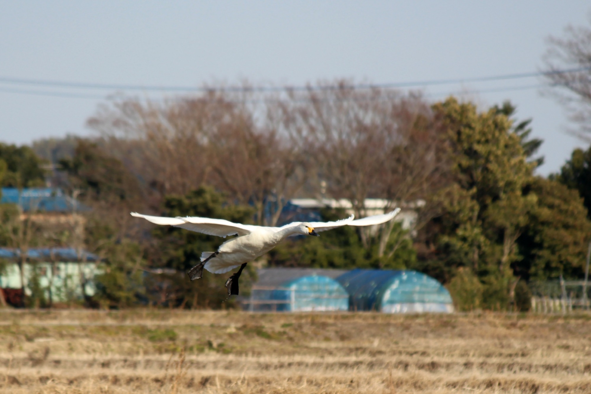 a0127090_1835581.jpg