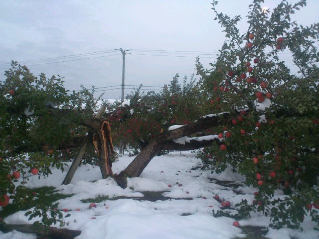 e0317698_21224093.jpg