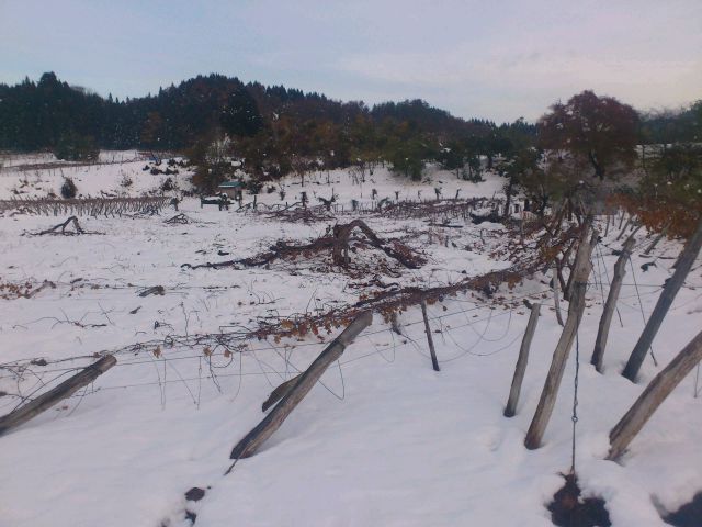 e0317698_21492525.jpg