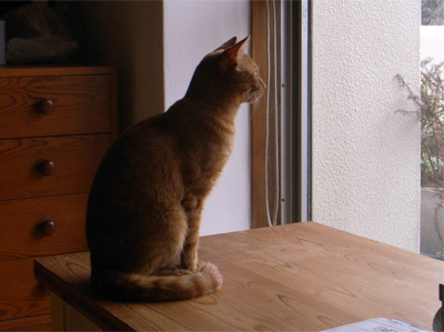 d0075899_13114031.jpg