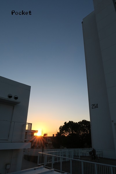 d0257606_16213799.jpg