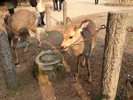 f0221708_1763916.jpg