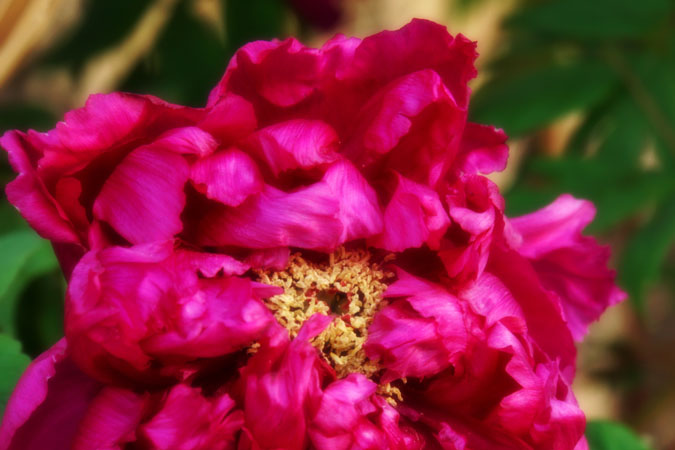 a0263109_21473267.jpg