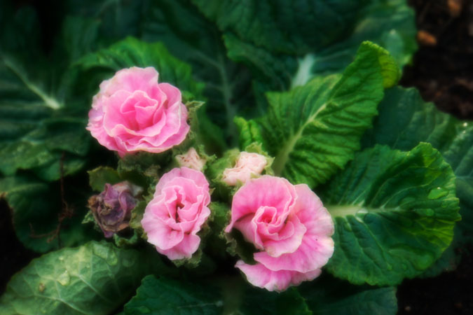 a0263109_21481236.jpg