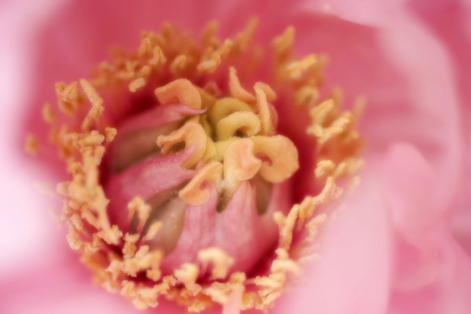 a0263109_2215629.jpg
