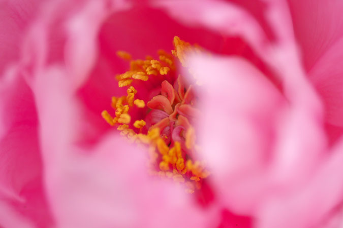 a0263109_222313.jpg